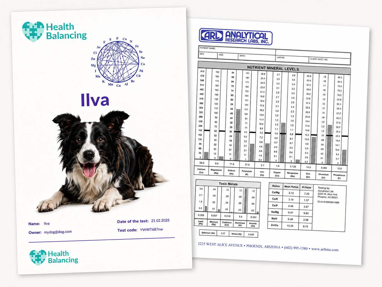 Health Balancing dog mineral analysis report featuring Ilva and nutrient mineral levels from elemental hair analysis
