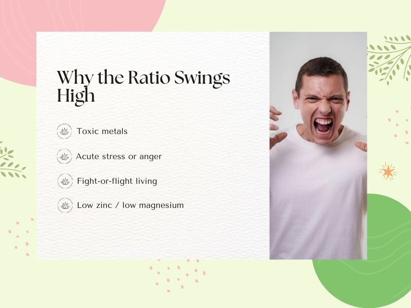 Graphic showing why the sodium-to-potassium (Na/K) ratio can swing high in HTMA, including toxic metals, acute stress or anger, fight-or-flight patterns, and low zinc or magnesium, illustrated with a man expressing intense stress.
