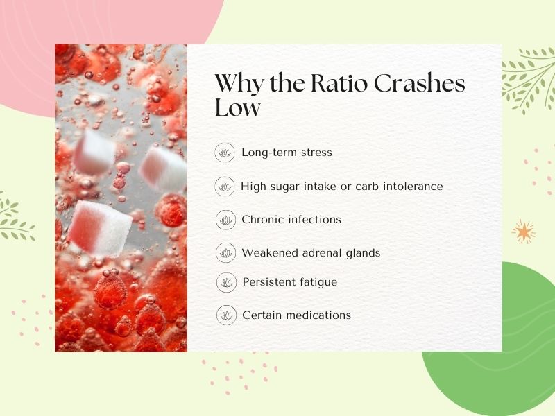 Graphic explaining why the sodium-to-potassium (Na/K) ratio can crash low in HTMA, listing long-term stress, high sugar intake, chronic infections, weakened adrenal glands, persistent fatigue, and certain medications.