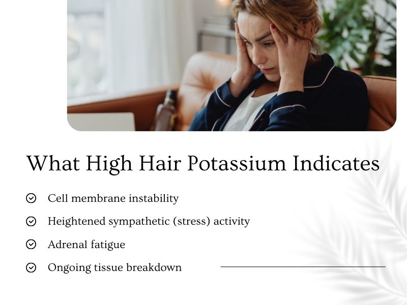 Stressed woman holding her head while working on a laptop, illustrating high hair potassium indicators such as stress, adrenal fatigue, and tissue breakdown.