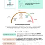 First page of sample Hair Tissue Mineral Analysis (HTMA) Expert Report showing mineral ratios, toxic metals, and personalized nutrition plan