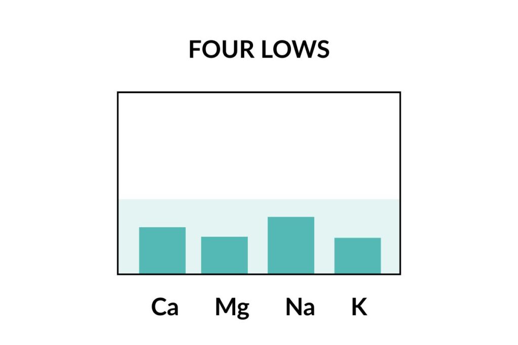 HTMA Four Lows pattern chart showing low calcium, magnesium, sodium, and potassium levels — illustrating adrenal exhaustion, burnout, and deep energy depletion in a metabolic shutdown state.
