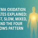 HTMA oxidation rates explained – illustration showing a glowing human silhouette and crystal minerals symbolizing fast, slow, mixed, and four lows metabolic patterns.