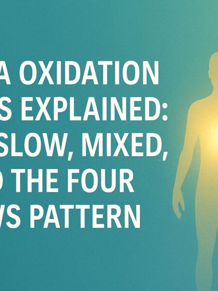 HTMA oxidation rates explained – illustration showing a glowing human silhouette and crystal minerals symbolizing fast, slow, mixed, and four lows metabolic patterns.