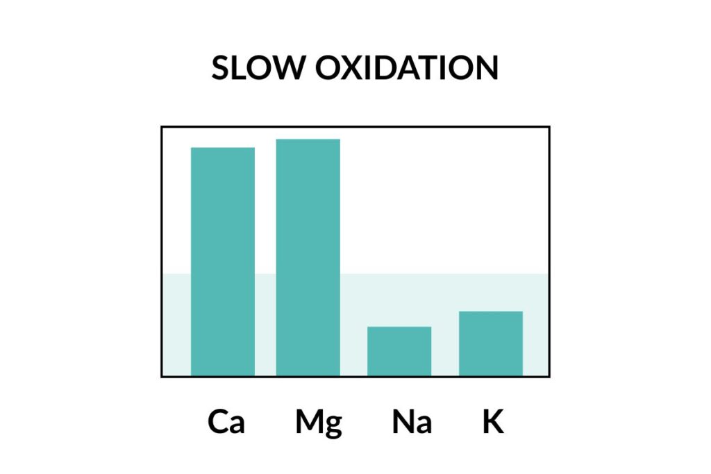 HTMA slow oxidation chart showing high calcium and magnesium and low sodium and potassium levels — illustrating low adrenal and thyroid activity in a metabolic slow oxidizer.