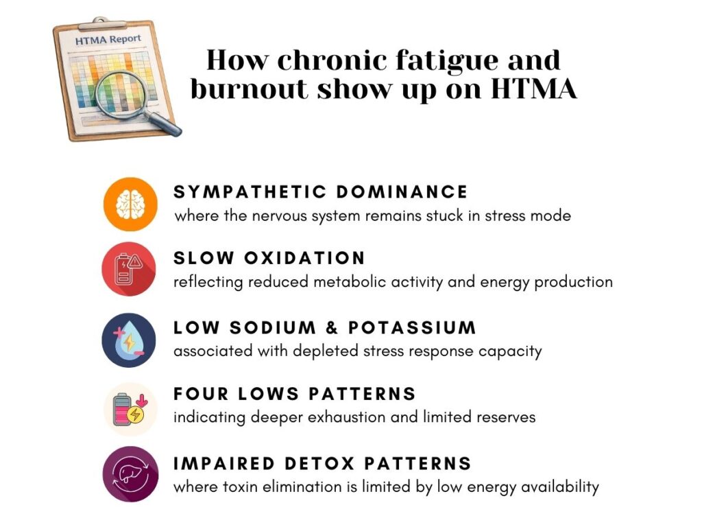 htma-report-hair-tissue-mineral-analysis-icon Horizontal infographic explaining how chronic fatigue and burnout appear on Hair Tissue Mineral Analysis, including sympathetic dominance, slow oxidation, low sodium and potassium, four lows patterns, and impaired detox.
