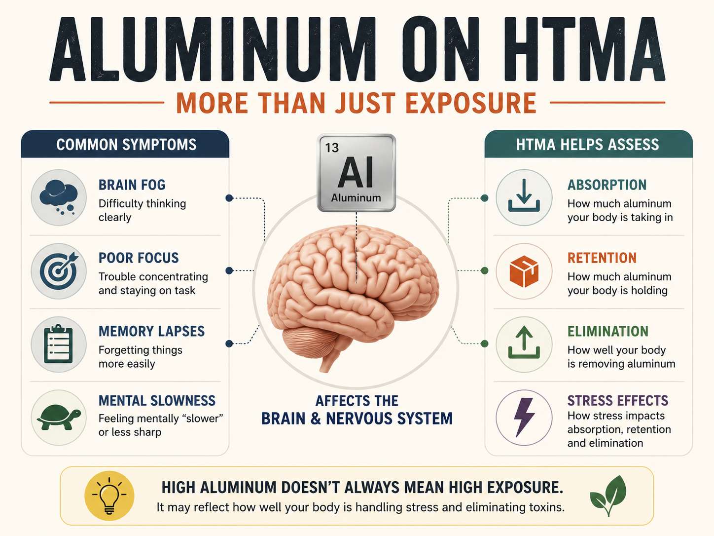 Aluminum on HTMA infographic showing common symptoms such as brain fog, poor focus, memory lapses, and mental slowness, plus how Hair Tissue Mineral Analysis assesses absorption, retention, elimination, and stress effects.