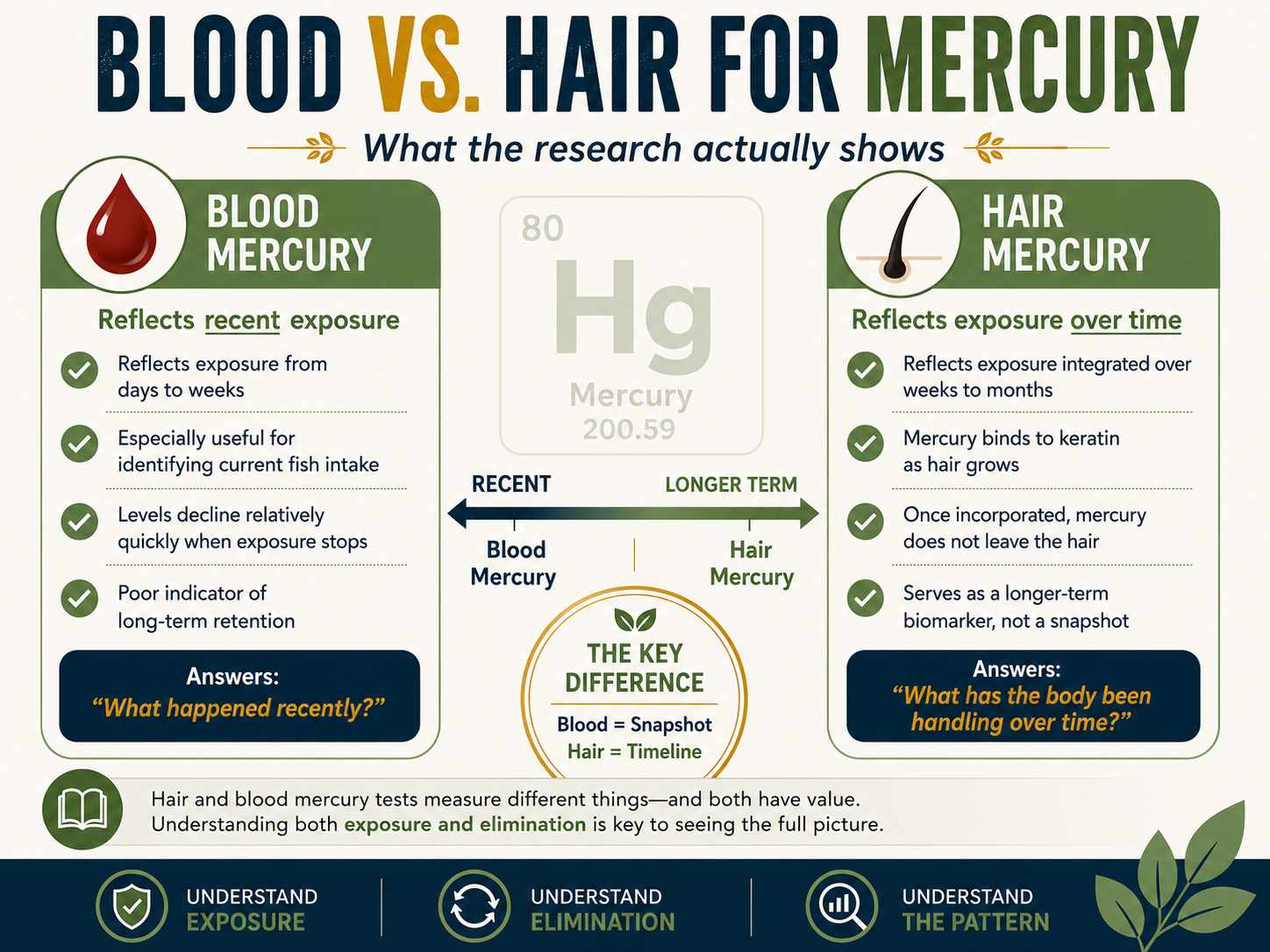 Infographic comparing blood mercury and hair mercury testing, explaining how blood reflects recent exposure while hair reflects longer-term exposure and elimination patterns. 