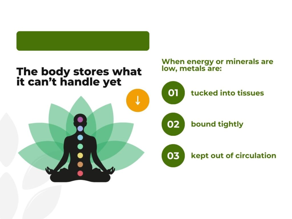 Infographic showing how the body stores metals when energy or minerals are low, explaining that metals are tucked into tissues, bound tightly, and kept out of circulation, with a meditation silhouette and chakra symbols.