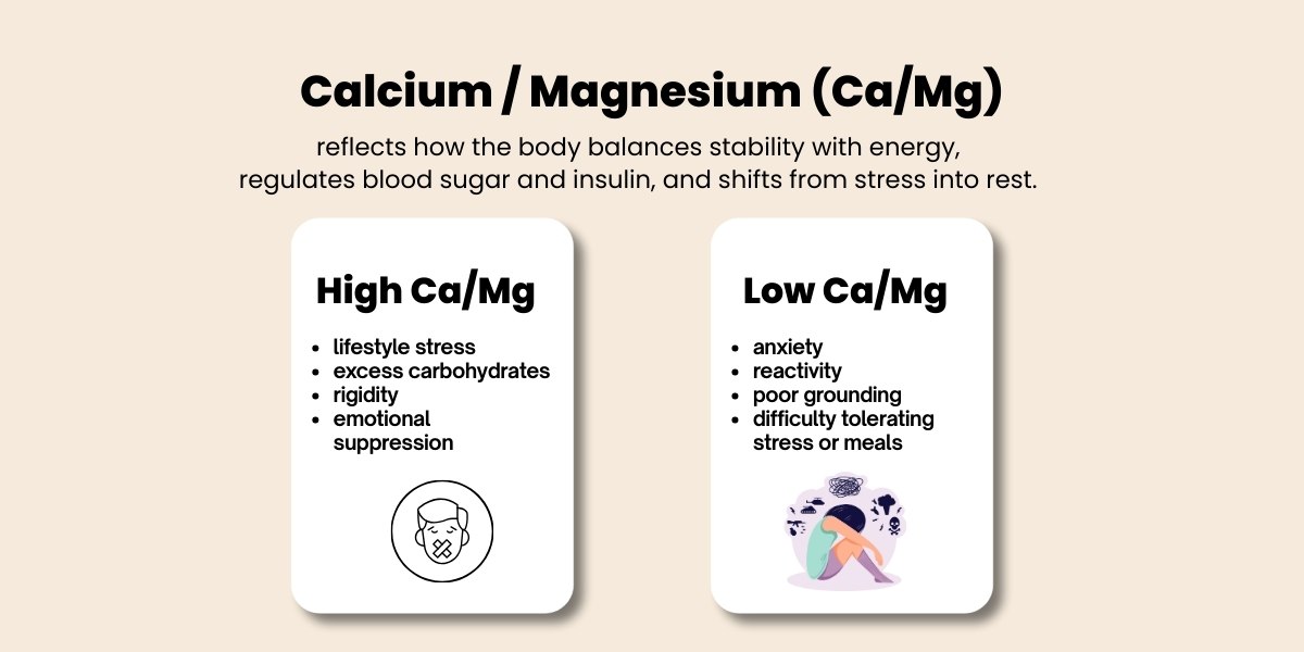 calcium-magnesium-ratio-blood-sugar-stress-relaxation-infographic.jpg Infographic explaining the calcium to magnesium ratio, blood sugar regulation, stress response, and nervous system balance.