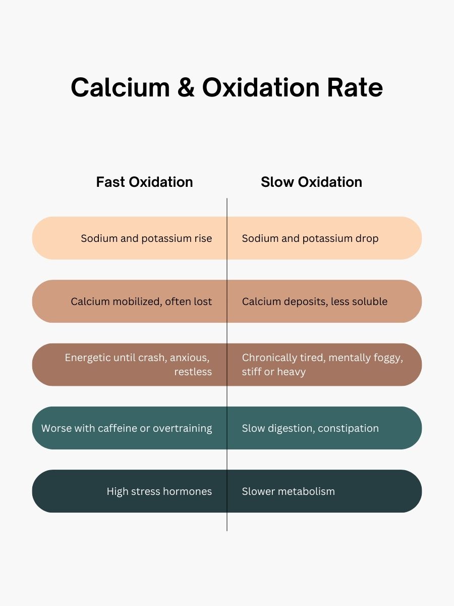 calcium-oxidation-rate-fast-vs-slow-htma-comparison-infographic.jpg Infographic comparing fast and slow oxidation patterns in HTMA, showing how calcium, sodium, and potassium relate to metabolic speed, stress hormones, energy levels, anxiety, fatigue, digestion, and overall oxidation rate.