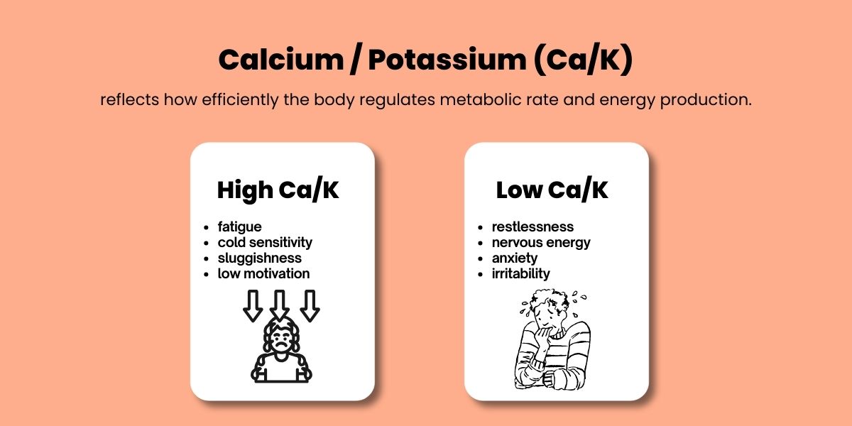 calcium-potassium-ratio-metabolic-rate-energy-infographic.jpg Infographic showing the calcium potassium ratio and how high or low Ca/K affects metabolic rate, energy, fatigue, and nervous tension.