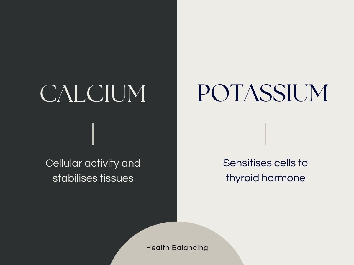 Comparison of calcium and potassium functions in the body, showing calcium supports cellular activity and tissue stability while potassium sensitises cells to thyroid hormone