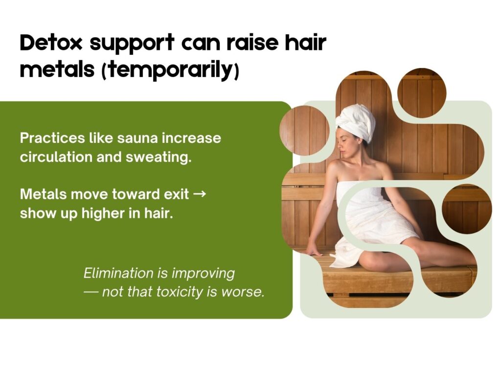 Infographic explaining how detox practices like sauna can temporarily raise hair metal levels by improving circulation and sweating, showing a woman in a sauna and highlighting that higher metals indicate better elimination, not worse toxicity