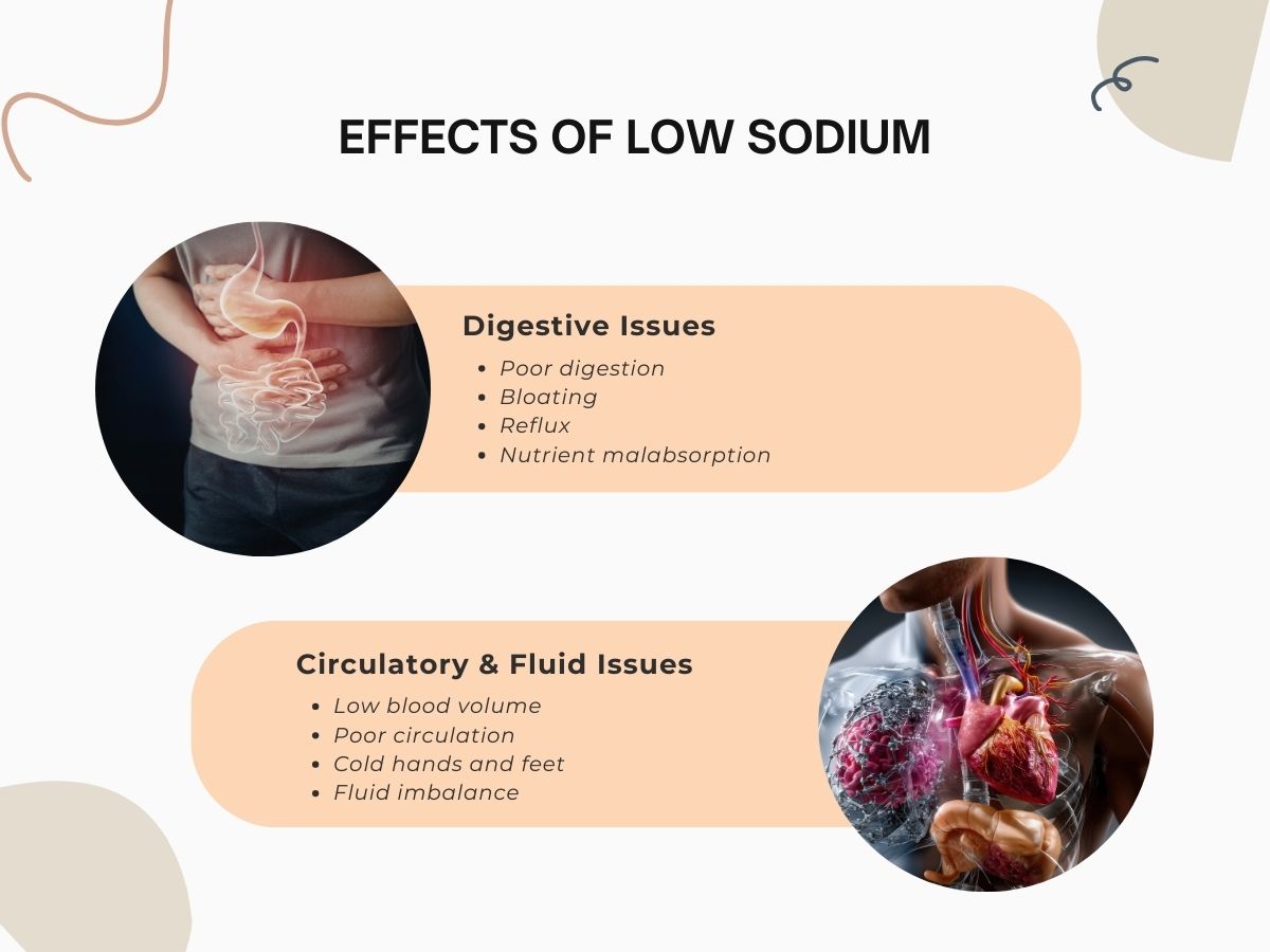 effects-of-low-sodium-htma-digestive-circulatory-issues.jpg Effects of low sodium including digestive issues, poor circulation, low blood volume, bloating, reflux, and fluid imbalance in HTMA context