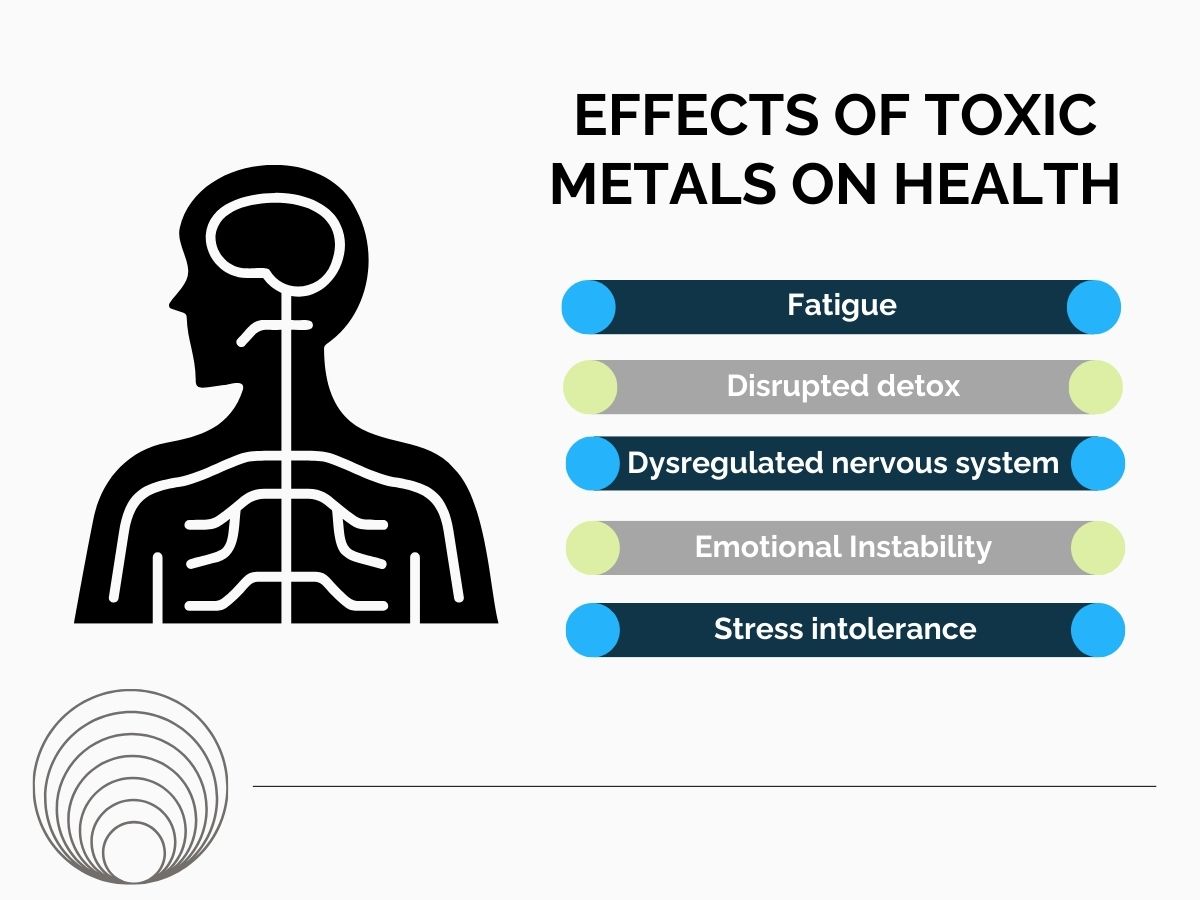 Infographic showing the effects of toxic metals on health, including fatigue, disrupted detoxification, nervous system dysregulation, emotional instability, and stress intolerance.
