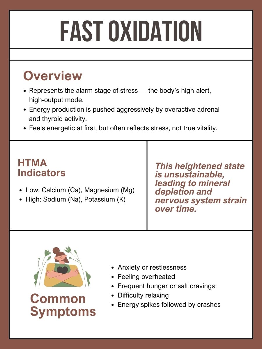 Infographic about fast oxidation, including overview, HTMA indicators, and common symptoms such as anxiety, feeling overheated, salt cravings, difficulty relaxing, and energy crashes.