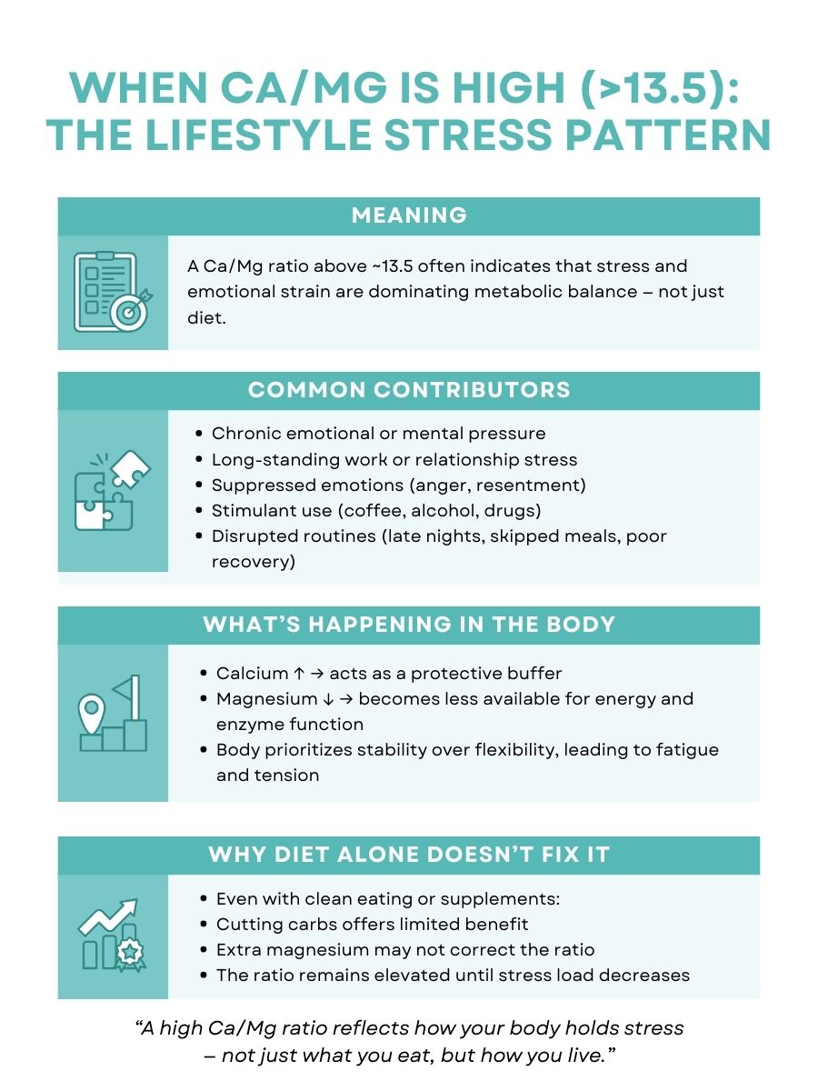 Infographic explaining high calcium to magnesium ratio above 13.5 on an HTMA, showing lifestyle stress pattern, emotional strain, low magnesium availability, and why diet alone does not correct the imbalance.