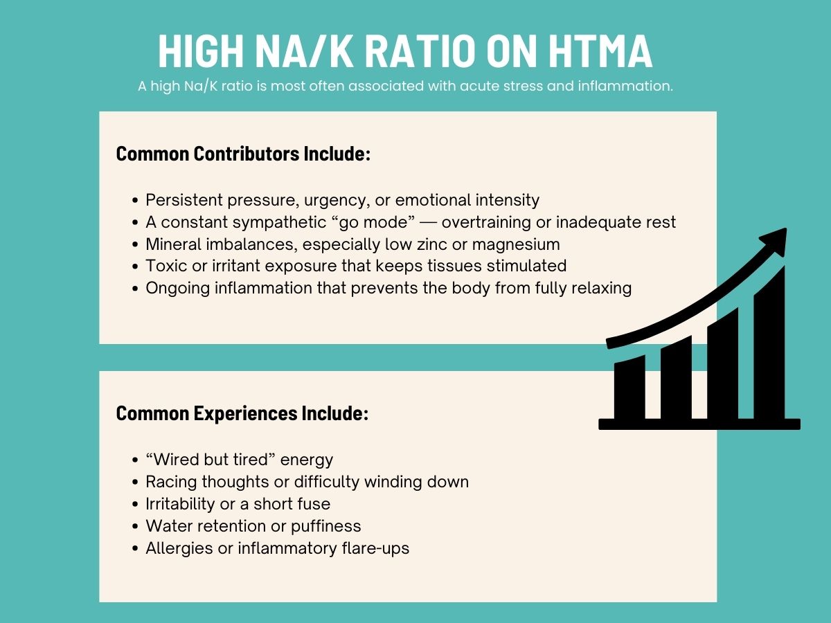 Infographic explaining that a high Na/K ratio on HTMA is associated with acute stress and inflammation, including common contributors and experiences such as persistent pressure, irritability, water retention, and fatigue.