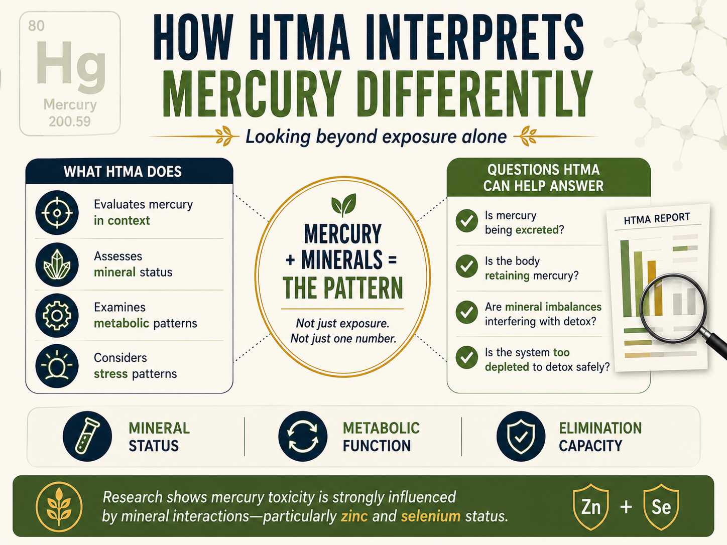 HTMA mercury infographic explaining how Hair Tissue Mineral Analysis interprets mercury through mineral status, metabolic function, and elimination capacity rather than measuring total body mercury.