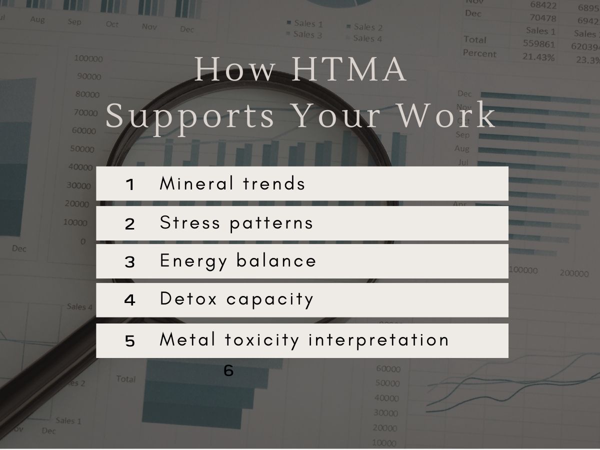 Chart showing how HTMA supports your work by analyzing mineral trends, stress patterns, energy balance, detox capacity, and metal toxicity interpretation.