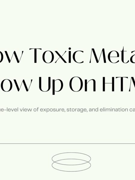 Presentation slide titled "How Toxic Metals Show Up on HTMA" with subtitle "A tissue-level view of exposure, storage, and elimination capacity" on a light background.