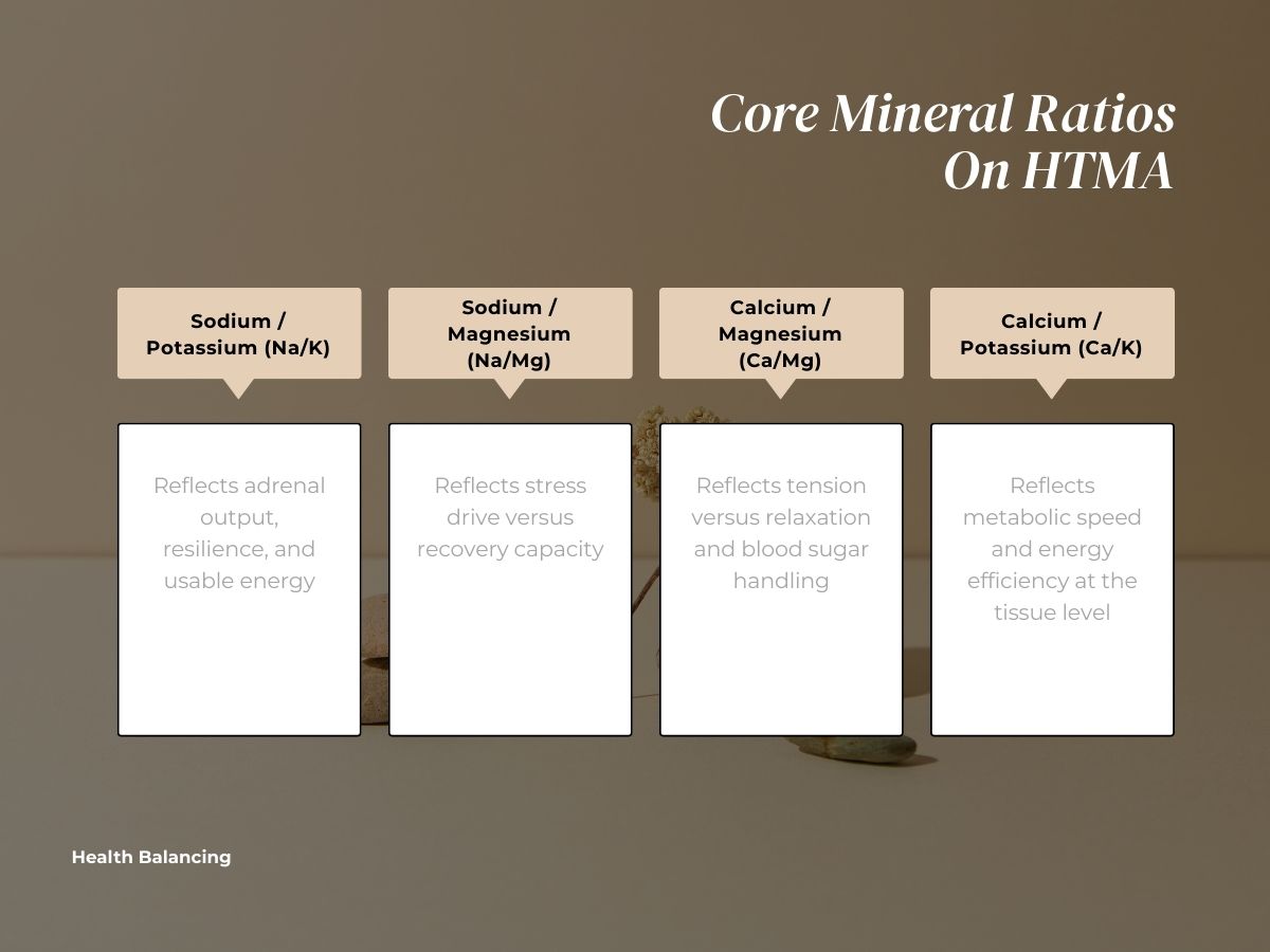 Core HTMA mineral ratios showing sodium-potassium, sodium-magnesium, calcium-magnesium, and calcium-potassium and what they reflect