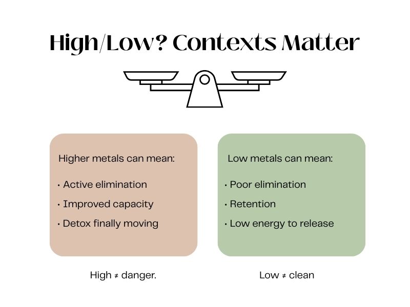 “HTMA educational graphic explaining that high or low metal levels require context, showing a balance scale with notes that higher metals may indicate active elimination, while low metals may reflect poor elimination or retention.