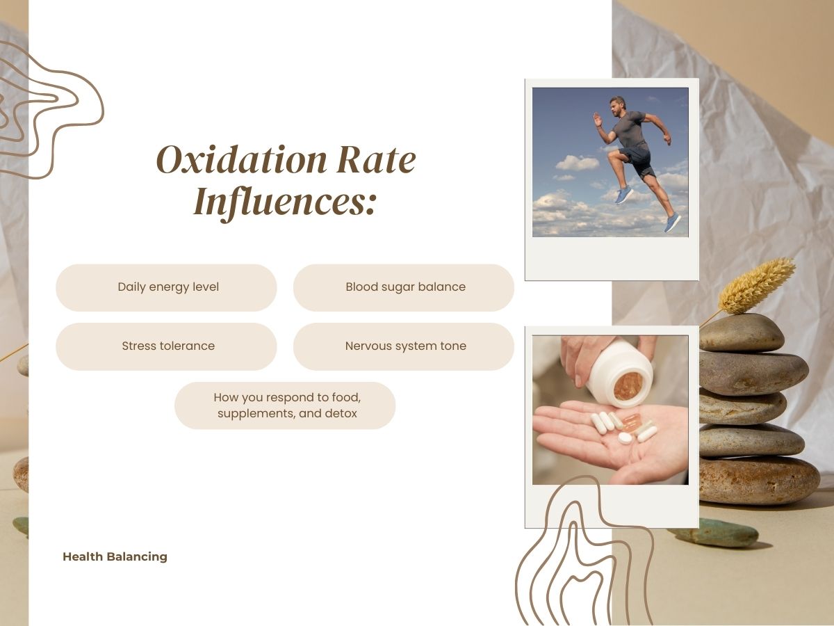 HTMA oxidation rate showing how metabolic speed affects energy, stress tolerance, blood sugar, and detox response