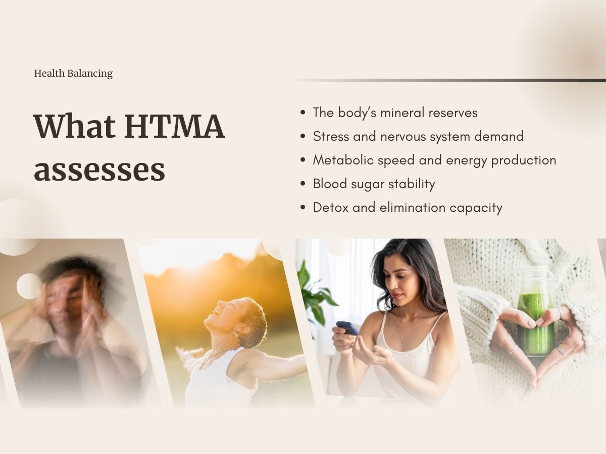 Infographic showing what Hair Tissue Mineral Analysis assesses, including mineral reserves, stress load, metabolism, blood sugar stability, and detox capacity