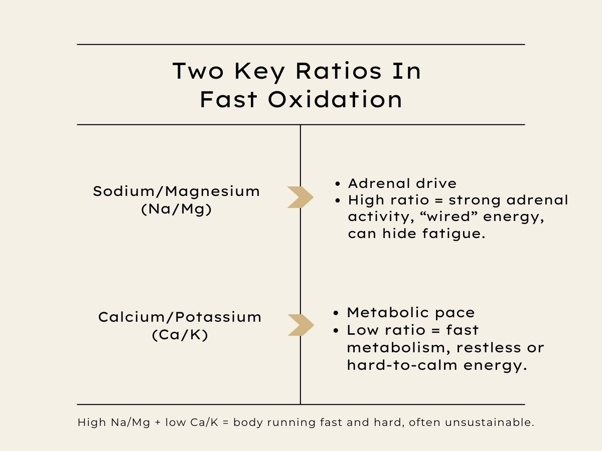 key-mineral-ratios-in-fast-oxidation-na-mg-and-ca-k.jpg Chart explaining two key mineral ratios in fast oxidation: Sodium to Magnesium for adrenal drive and Calcium to Potassium for metabolic pace.