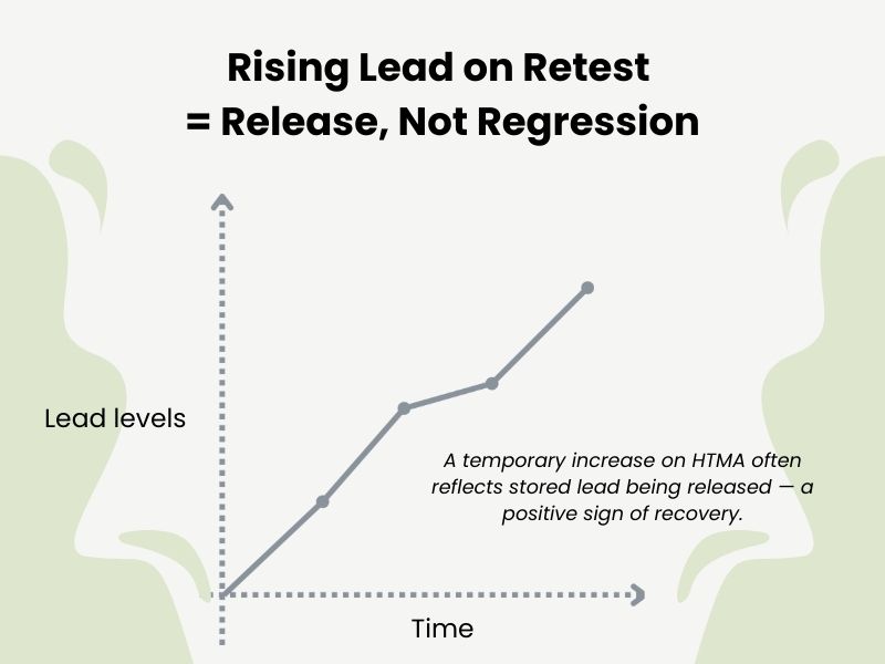 Line graph showing how lead levels may rise temporarily on HTMA retests, indicating natural release from storage during recovery.
