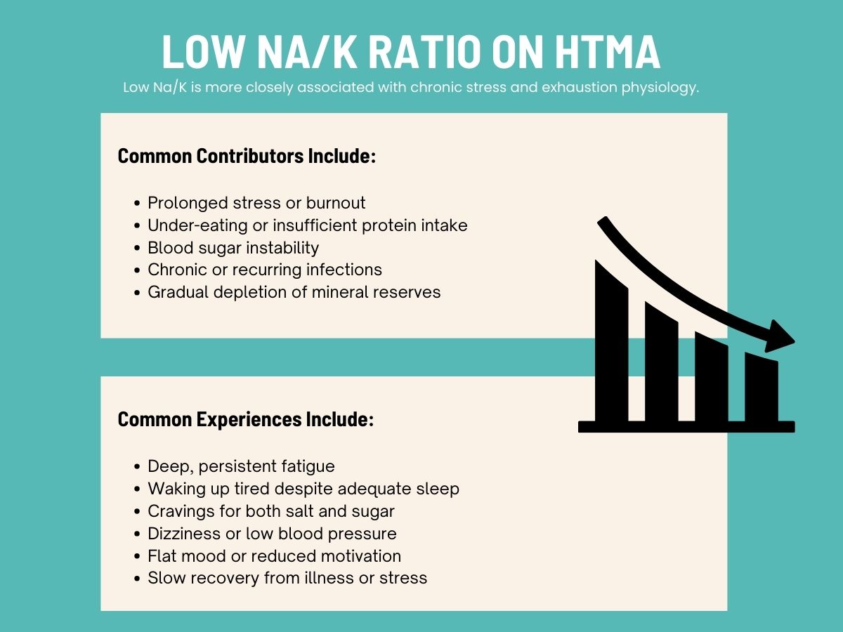 Diagram explaining that a low Na/K ratio on HTMA is associated with chronic stress and exhaustion, listing common contributors like prolonged burnout, insufficient protein intake, blood sugar instability, and recurrent infections, along with experiences such as persistent fatigue, waking tired, salt and sugar cravings, dizziness, low blood pressure, and slow recovery.
