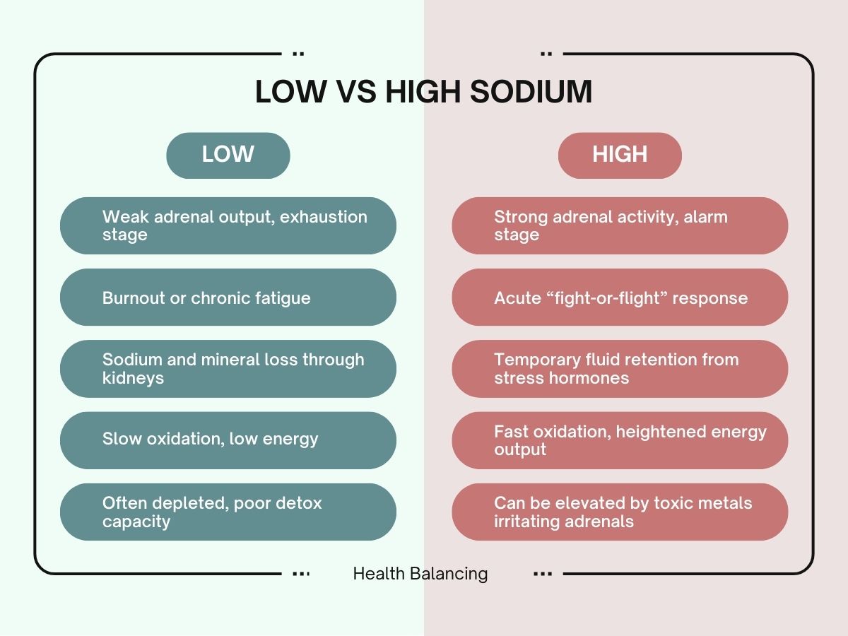low-vs-high-sodium-health-balancing-infographic.jpg Comparison of low and high sodium effects showing low sodium causes fatigue and kidney loss, while high sodium leads to strong adrenal activity and stress hormone retention.