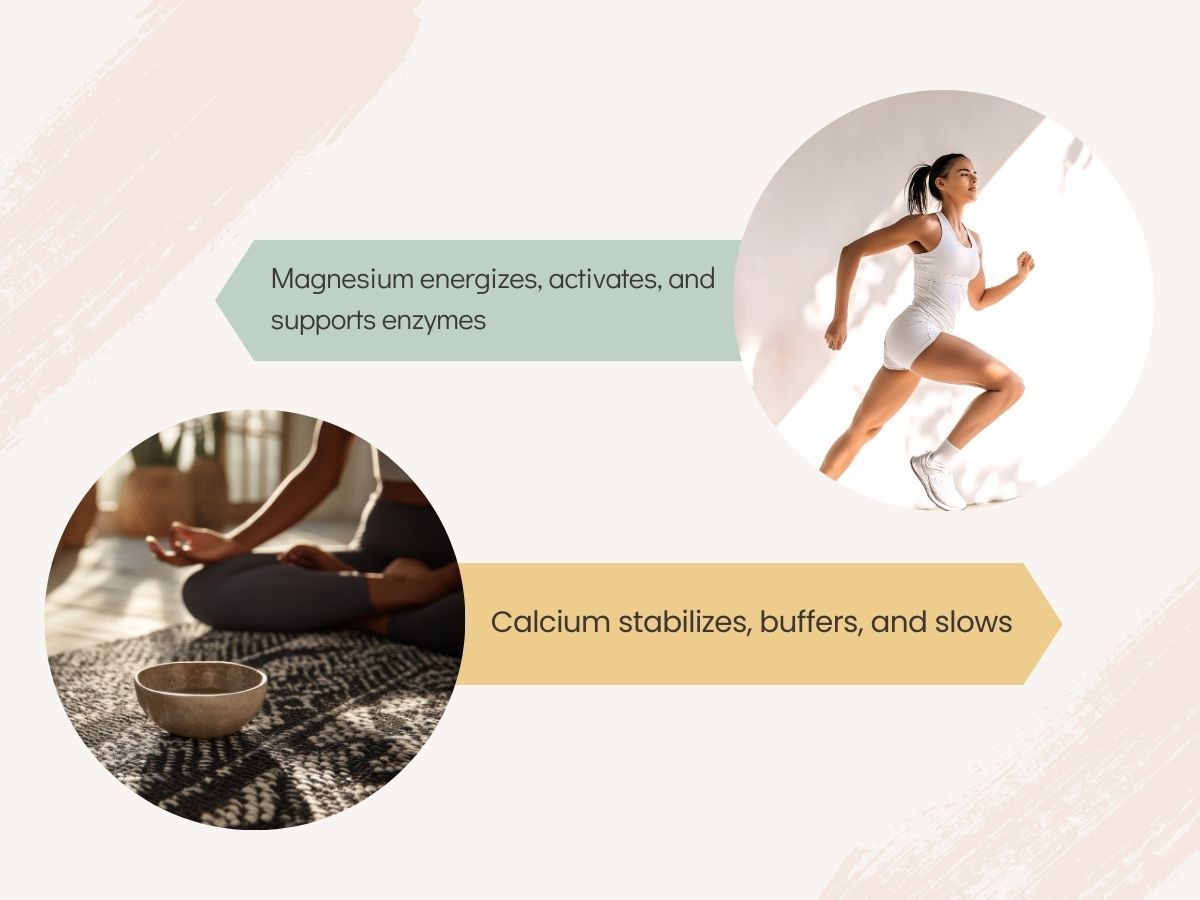 Graphic comparing magnesium and calcium functions, showing magnesium energizing and activating enzymes alongside a woman running, and calcium stabilizing and slowing processes next to a person meditating.