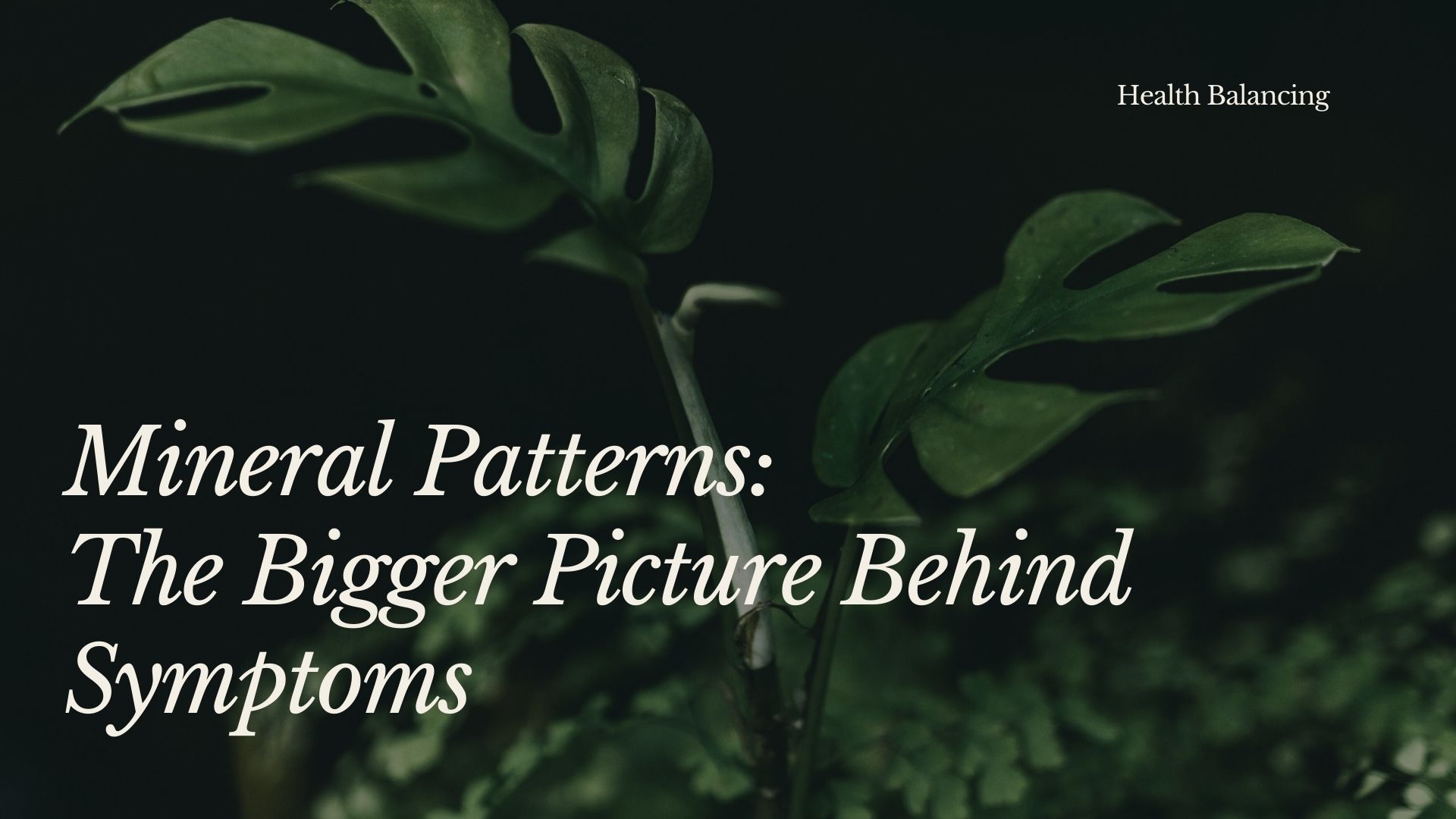 Mineral patterns showing the bigger picture behind symptoms in hair tissue mineral analysis, with a calm green botanical background.