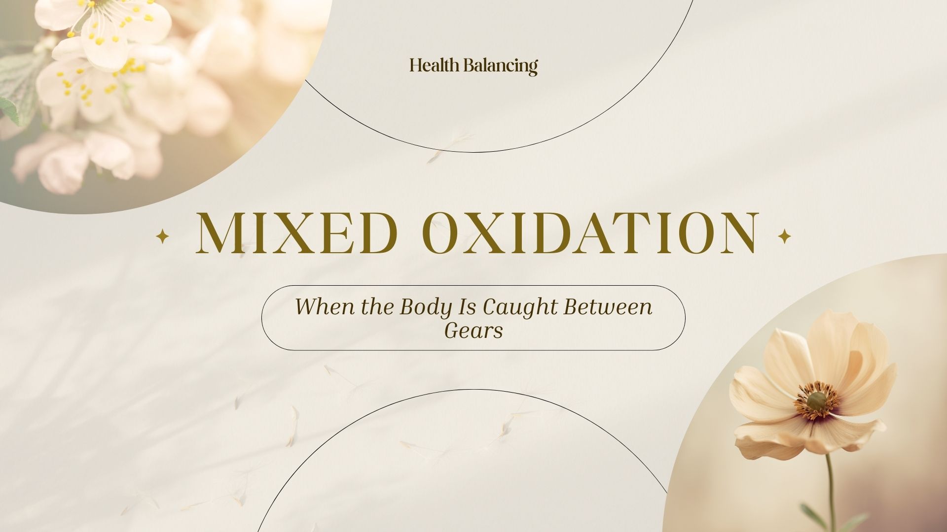 mixed-oxidation-body-between-gears-health-balancing.jpg Calm floral design with text “Mixed Oxidation – When the Body Is Caught Between Gears” from Health Balancing, symbolizing balance and restoration.