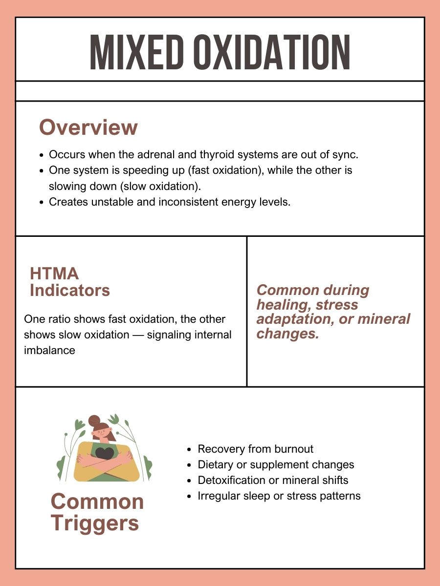 Infographic explaining mixed oxidation, HTMA indicators, common triggers, and symptoms such as burnout, dietary changes, detoxification, and stress patterns.