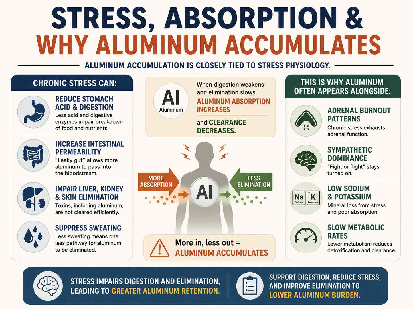 Infographic explaining how chronic stress affects digestion, absorption, and elimination, contributing to aluminum accumulation and patterns such as adrenal burnout, sympathetic dominance, low sodium and potassium, and slow metabolism.