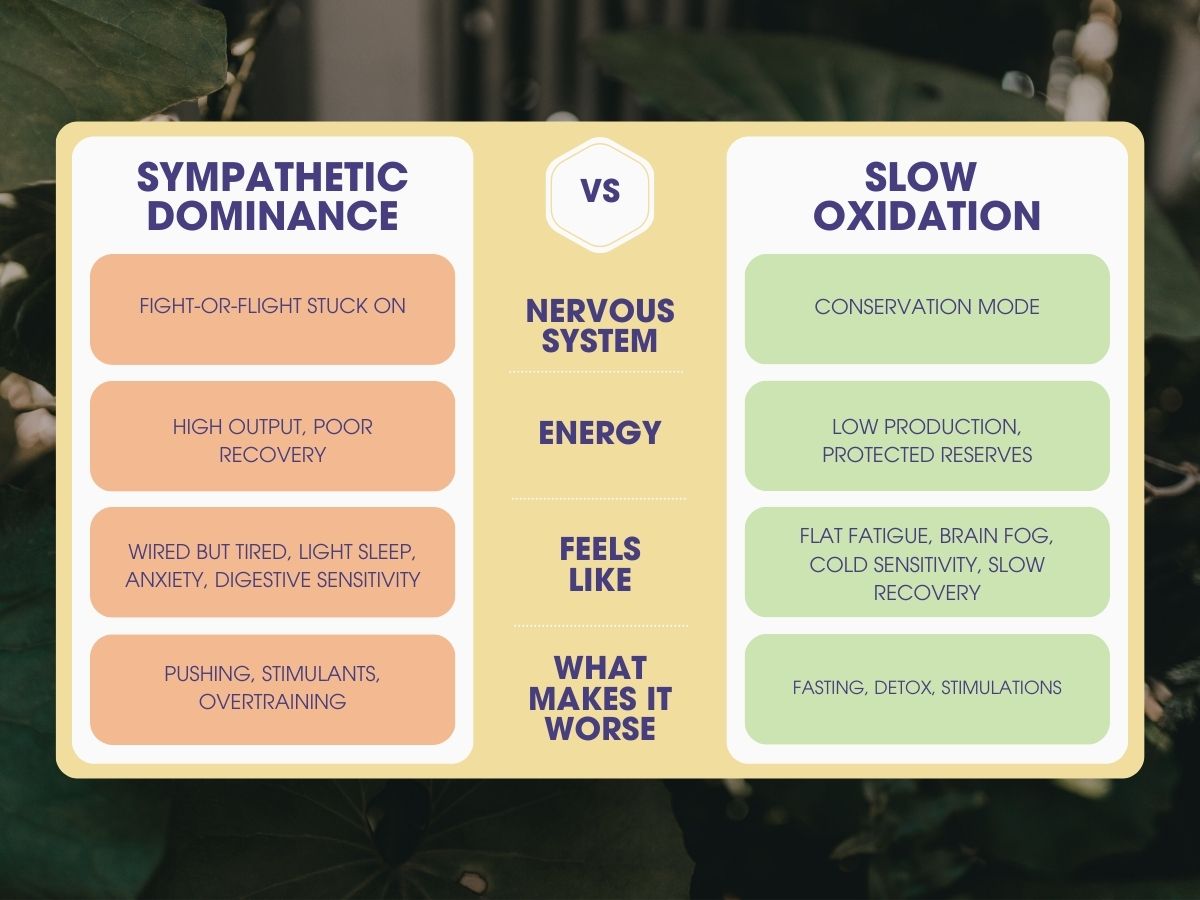 Infographic comparing sympathetic dominance and slow oxidation patterns, showing differences in nervous system state, energy, symptoms, and what makes each pattern worse.