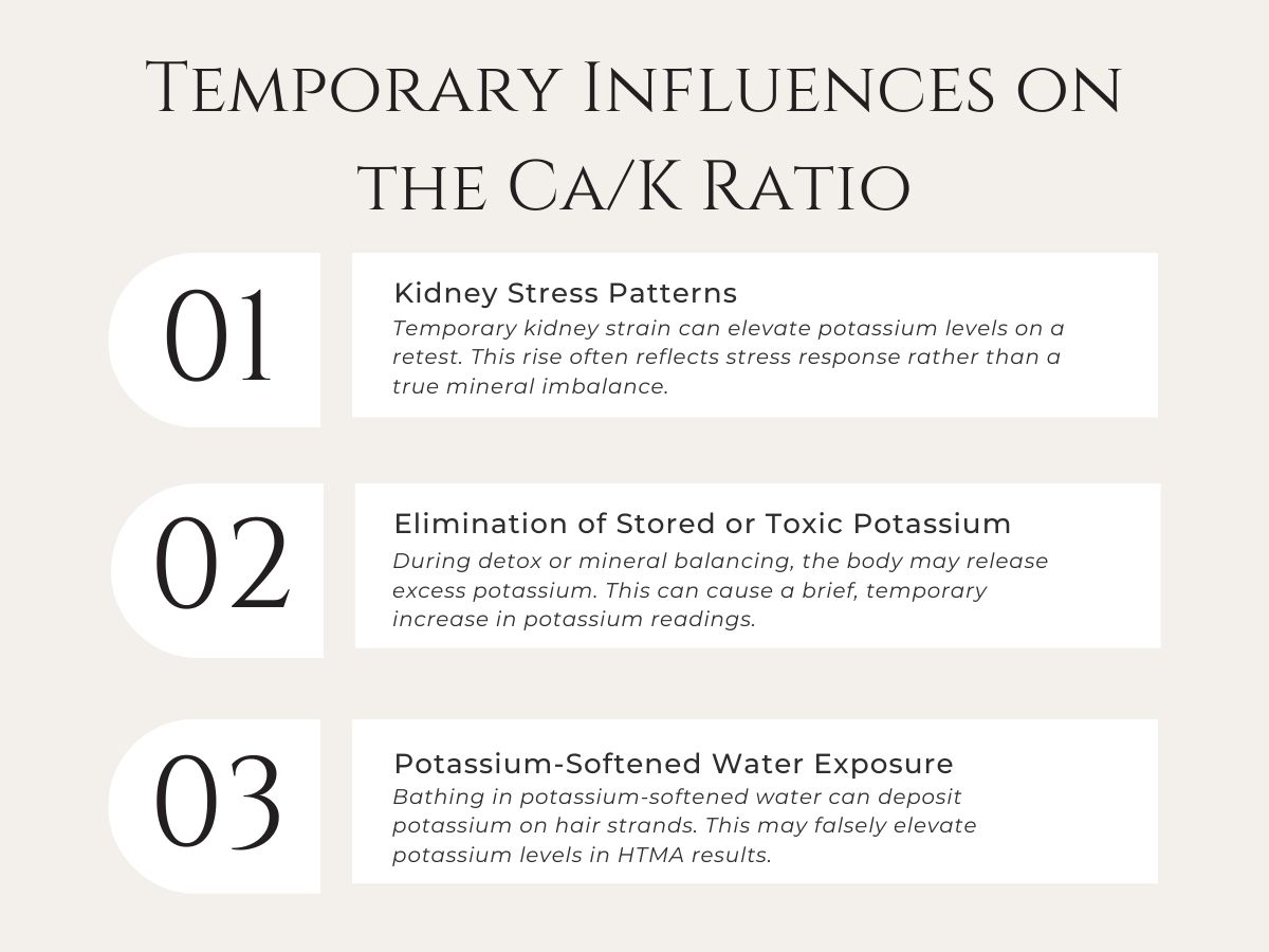HTMA educational graphic explaining temporary influences on the calcium potassium ratio, including kidney stress patterns, detox-related potassium release, and potassium-softened water exposure.