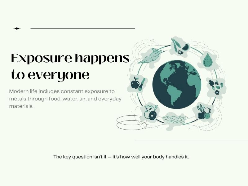 Illustration showing the Earth surrounded by food, water, and air icons with the text "Exposure happens to everyone," highlighting constant exposure to toxic metals in modern life.