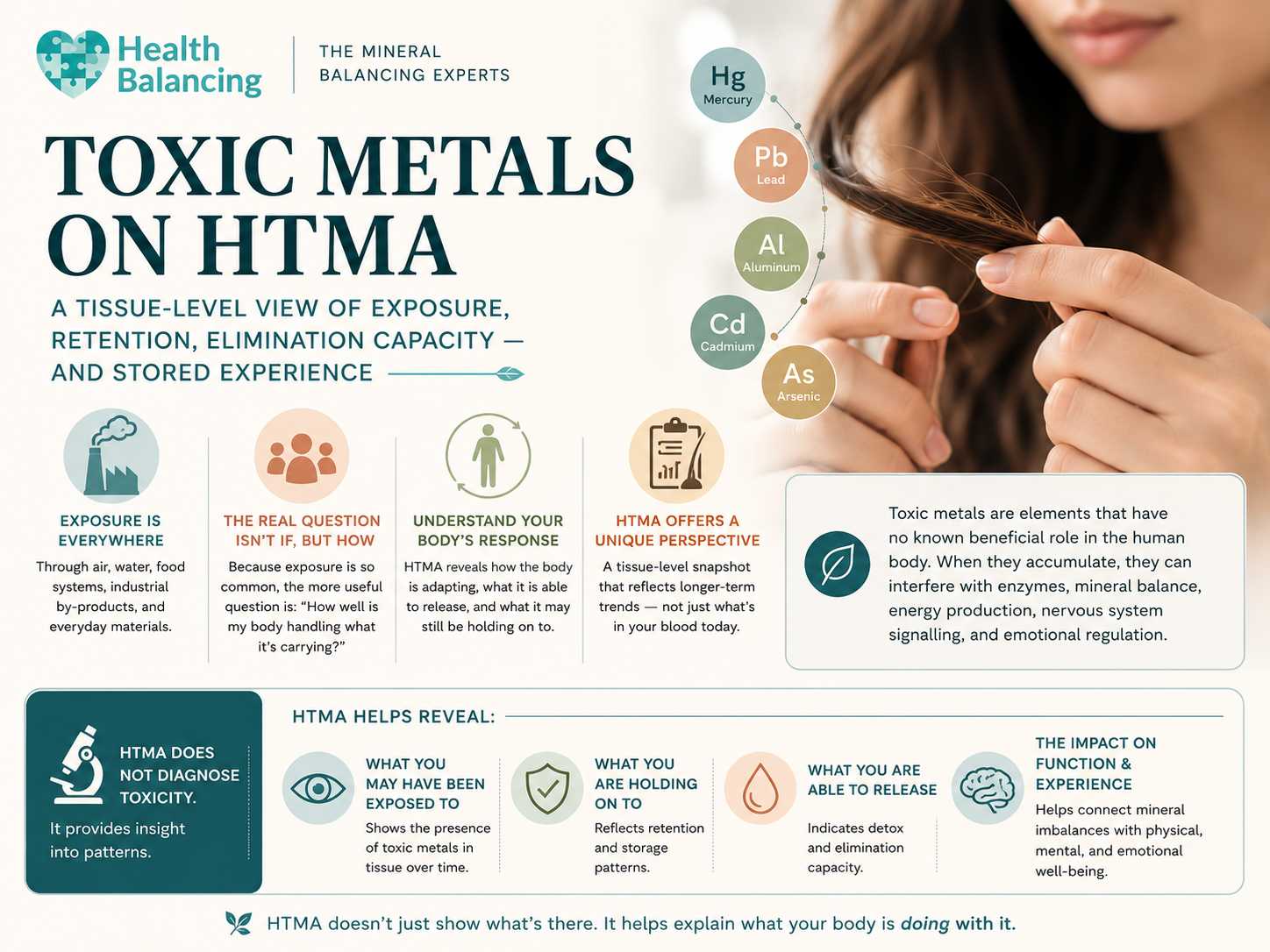 Infographic explaining toxic metals on HTMA, showing how Hair Tissue Mineral Analysis provides insight into toxic metal exposure, retention, elimination capacity, and the body's adaptive response without diagnosing toxicity. 