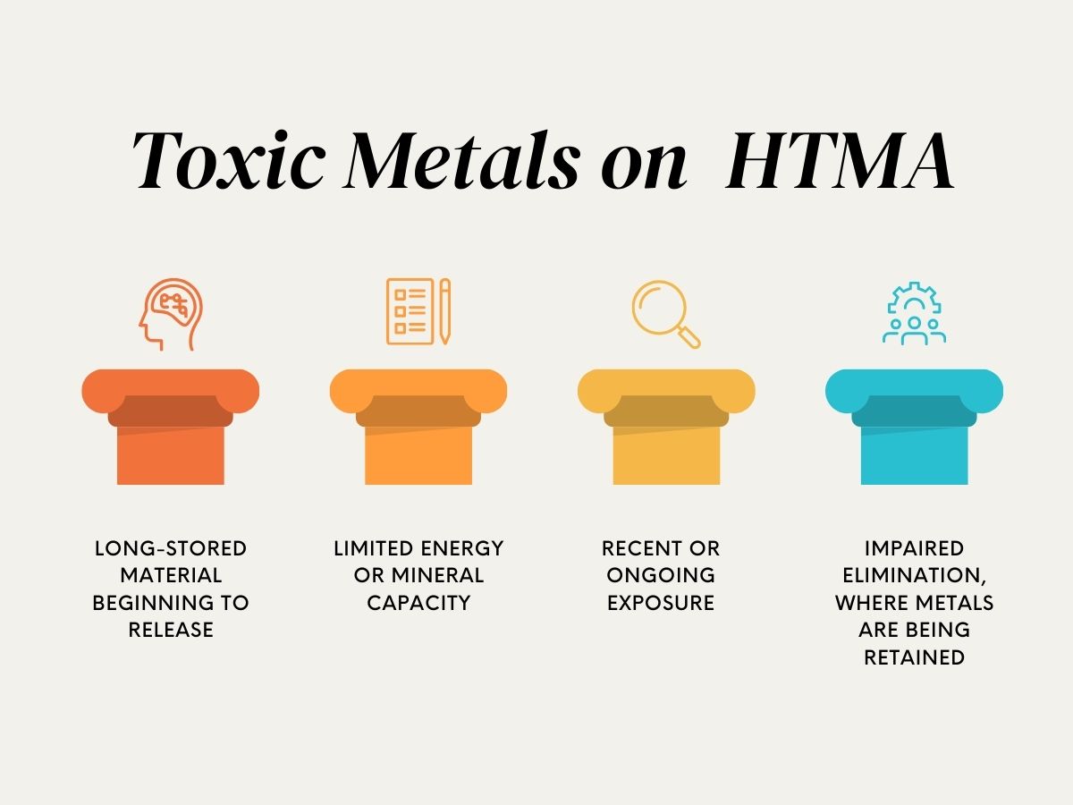 Infographic explaining toxic metals on HTMA, showing four meanings: long-stored material beginning to release, limited energy or mineral capacity, recent or ongoing exposure, and impaired elimination where metals are being retained.