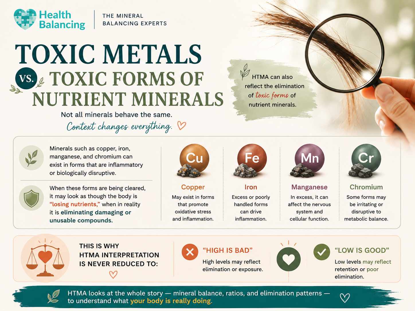 Infographic explaining the difference between toxic metals and toxic forms of nutrient minerals in Hair Tissue Mineral Analysis (HTMA), showing how copper, iron, manganese, and chromium can exist in harmful forms and why HTMA interpretation considers mineral balance, ratios, and elimination patterns rather than high or low values alone.