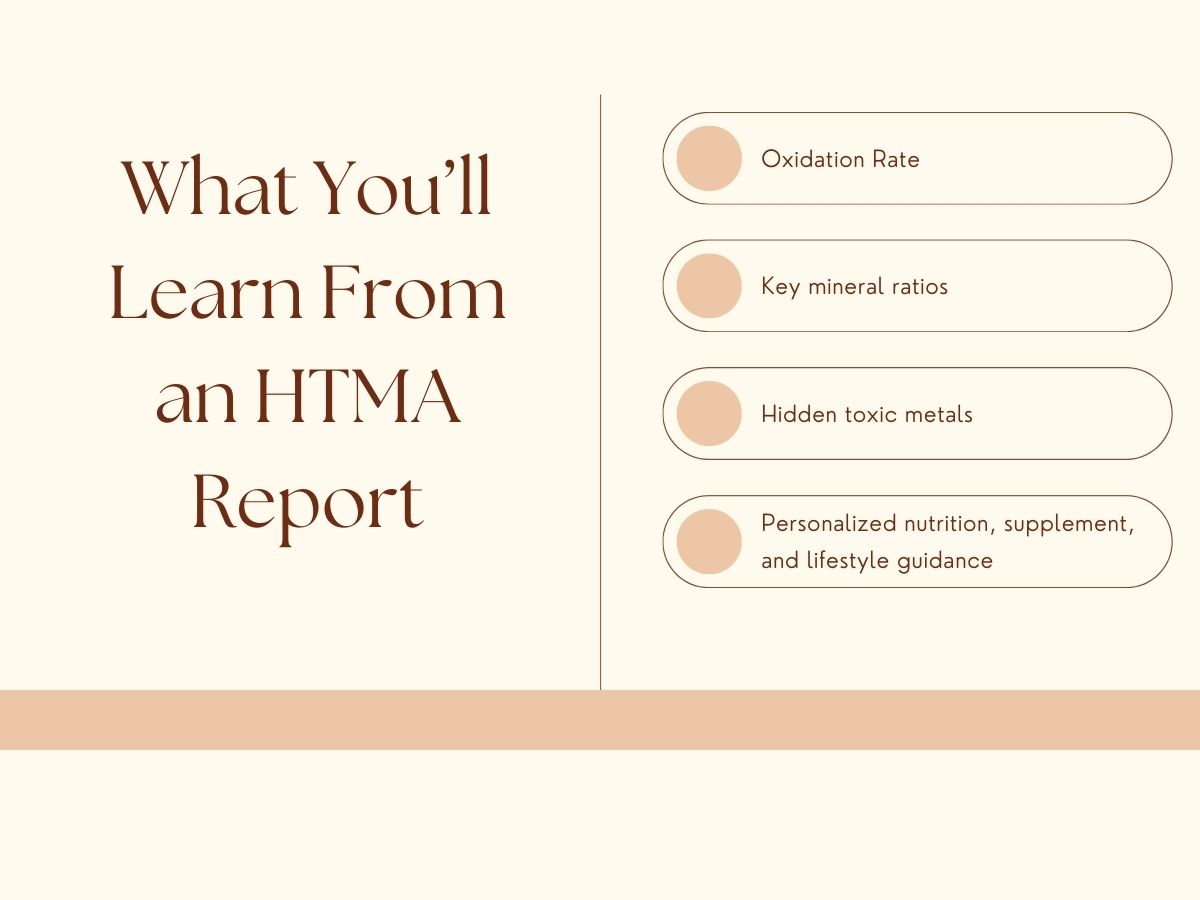 What you will learn from an HTMA report including oxidation rate, key mineral ratios, hidden toxic metals, and personalized nutrition and lifestyle guidance