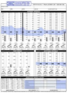 Hair Tissue Mineral Analysis (HTMA) report displaying nutrient minerals, toxic metals, additional minerals, and significant mineral ratios. The chart visualizes calcium, magnesium, sodium, potassium, zinc, copper, iron, phosphorus, toxic metal exposure, and metabolic ratio patterns used to assess mineral balance and overall health.