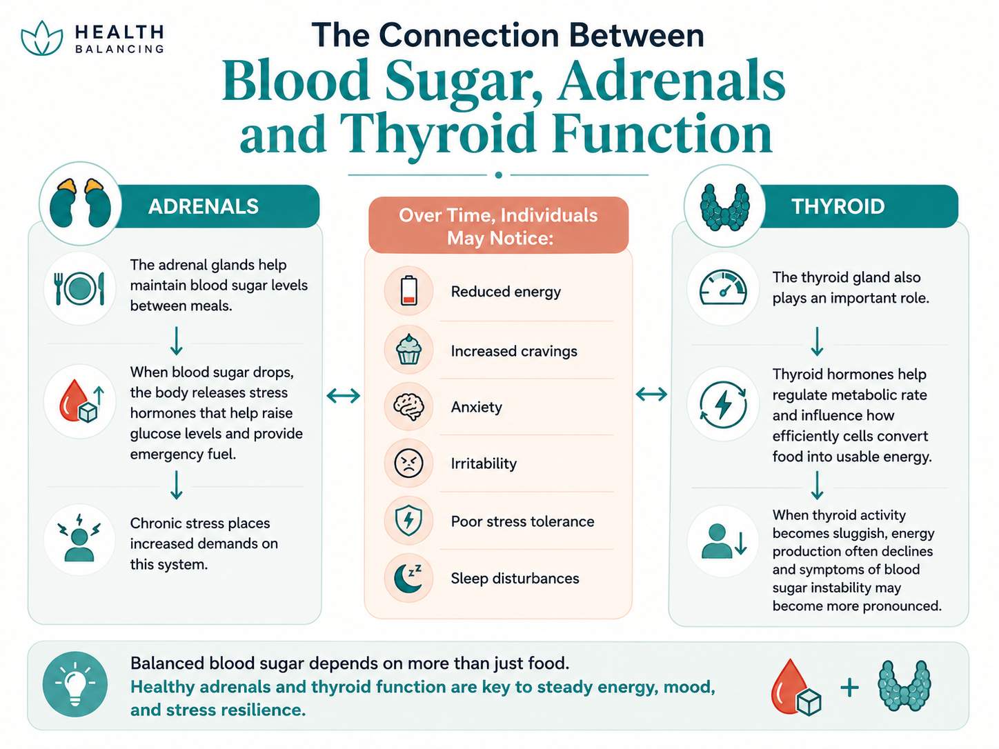 Infographic explaining the connection between blood sugar, adrenal glands, and thyroid function. It shows how the adrenal glands help maintain blood sugar between meals by releasing stress hormones when glucose drops, how chronic stress can lead to reduced energy, cravings, anxiety, irritability, poor stress tolerance, and sleep disturbances, and how thyroid hormones regulate metabolism and cellular energy production, with sluggish thyroid function contributing to blood sugar instability.