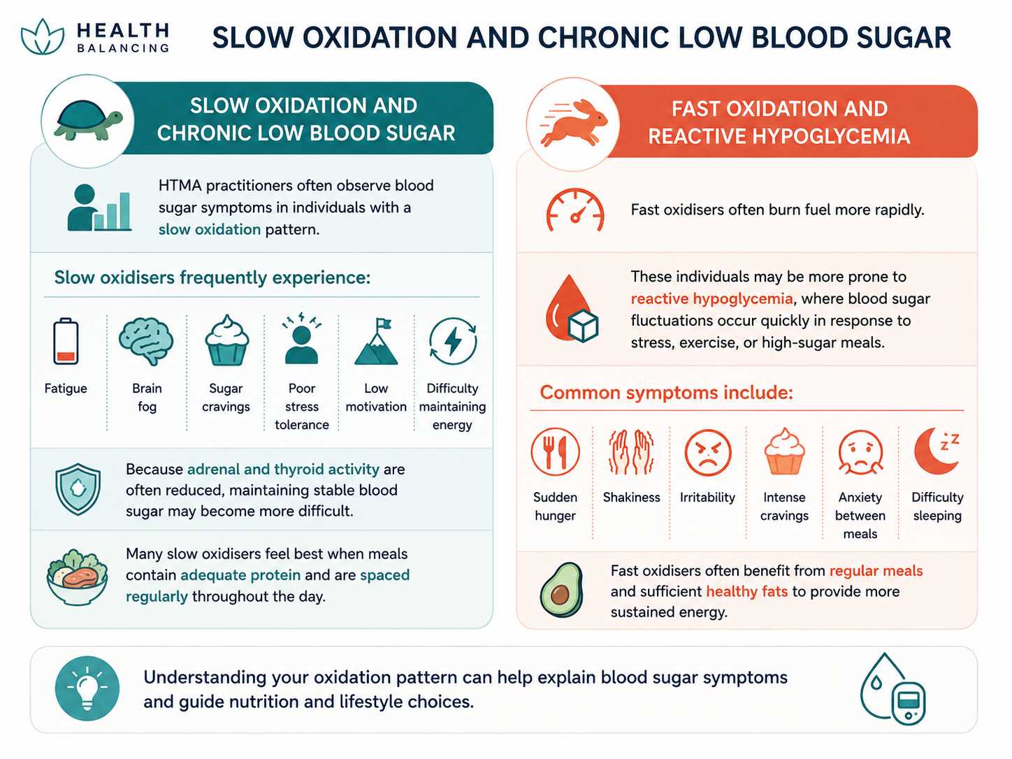 Infographic comparing slow oxidation and fast oxidation patterns associated with blood sugar instability. It highlights that slow oxidizers commonly experience fatigue, brain fog, sugar cravings, poor stress tolerance, low motivation, and difficulty maintaining energy, while fast oxidizers are more prone to reactive hypoglycemia with sudden hunger, shakiness, irritability, intense cravings, anxiety between meals, and difficulty sleeping.