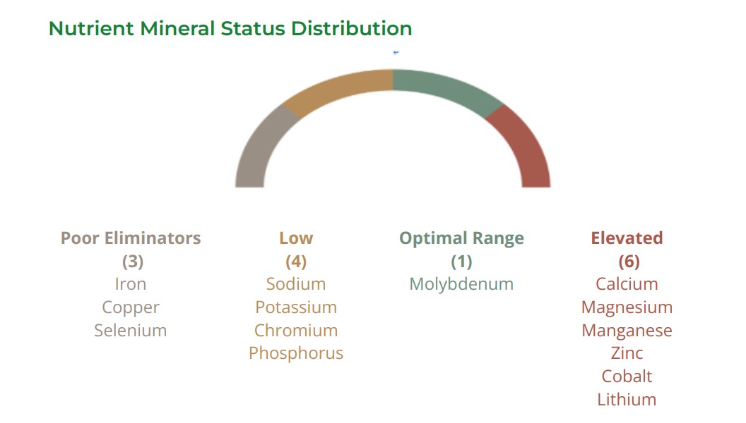 Hair Tissue Mineral Analysis (HTMA) nutrient mineral status distribution chart showing poor eliminators, low, optimal range, and elevated mineral levels.